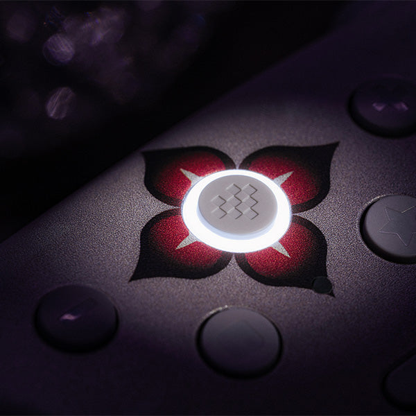 8BitDo Ultimate 2 Wireless Controller (Honkai: Star Rail - Evernight) - Wireless Game Controller